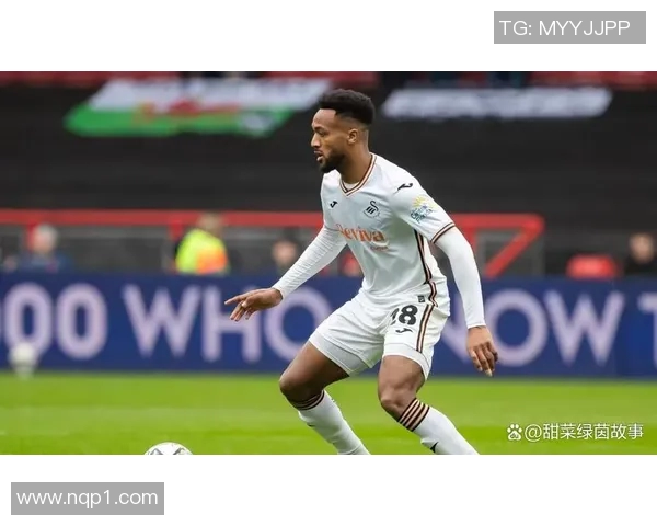 斯托克城与斯旺西对决前瞻分析及双方近期状态评估